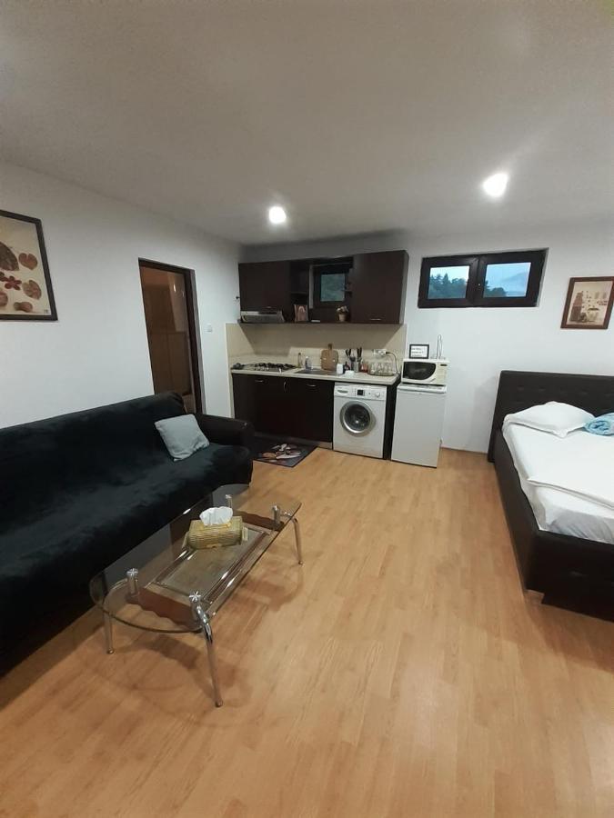 Apartament Relax Lägenhet Călimăneşti Exteriör bild
